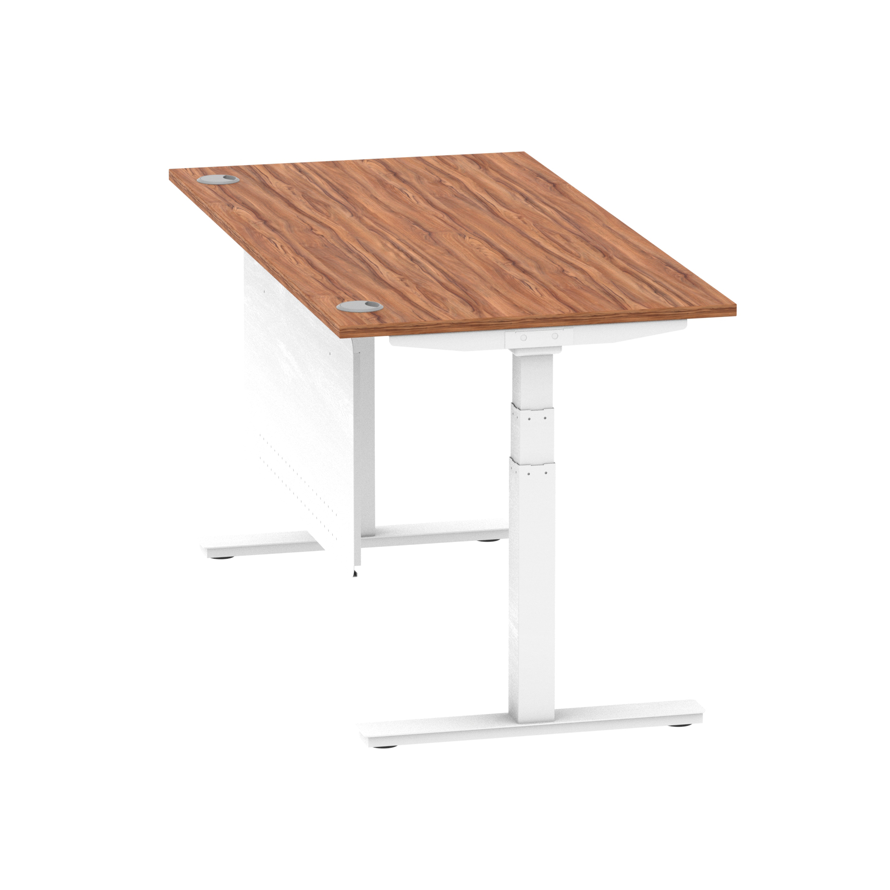 Walnut / White Frame