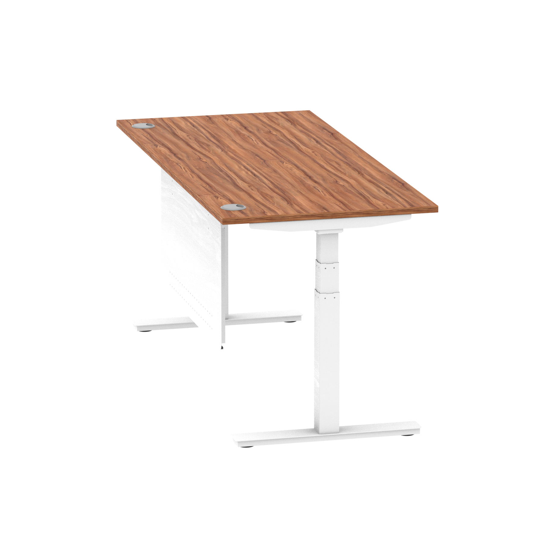 Walnut / White Frame