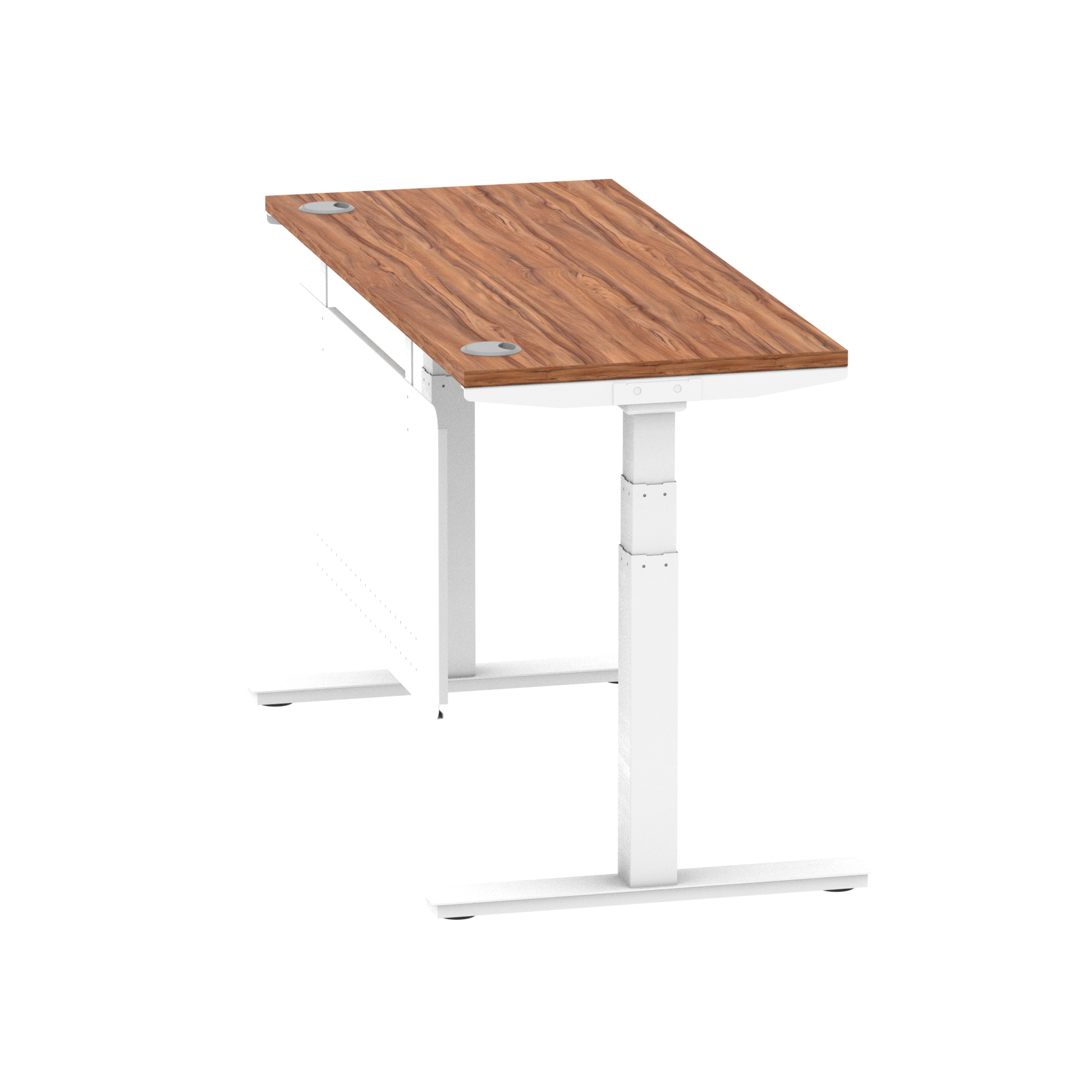 Walnut / White Frame