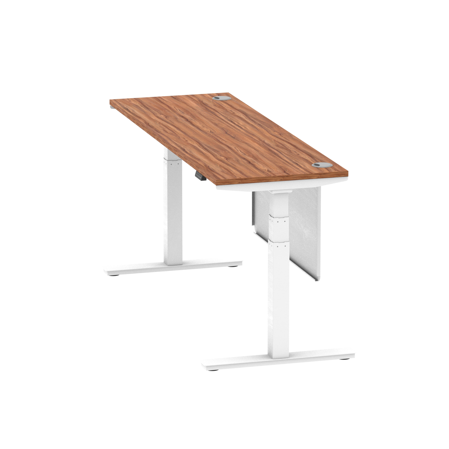 Walnut / White Frame
