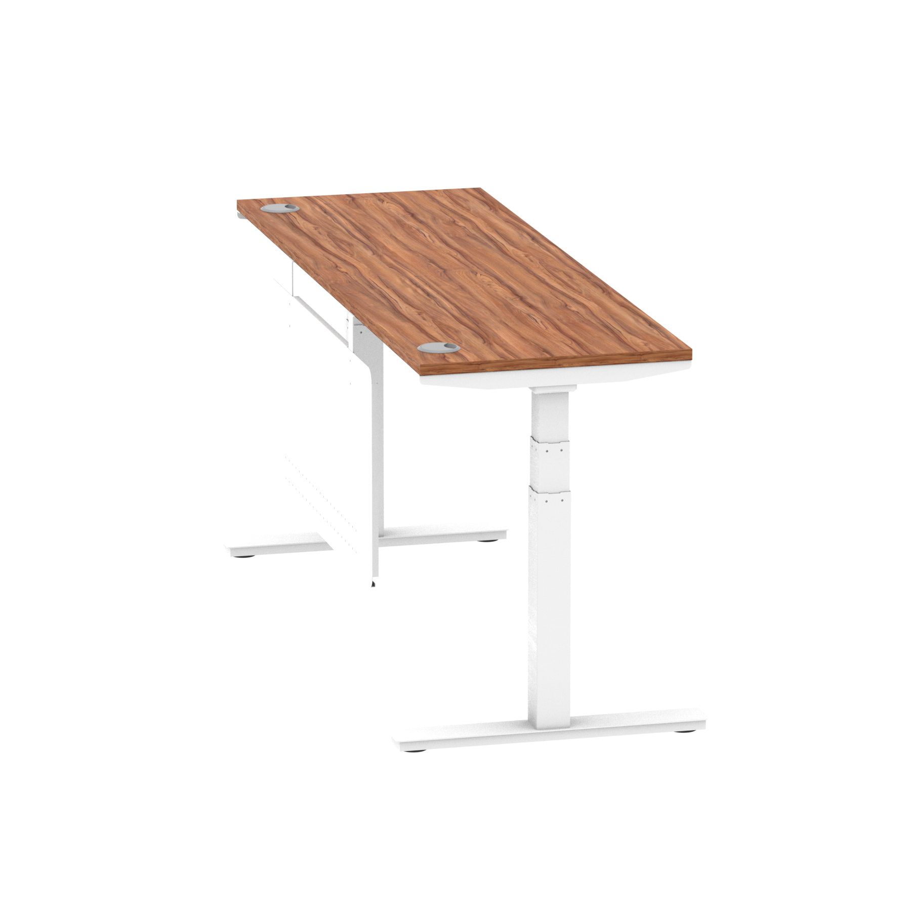 Walnut / White Frame
