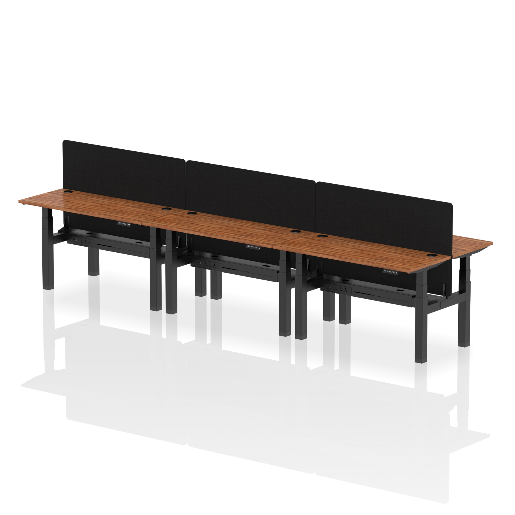 Walnut / Black Frame