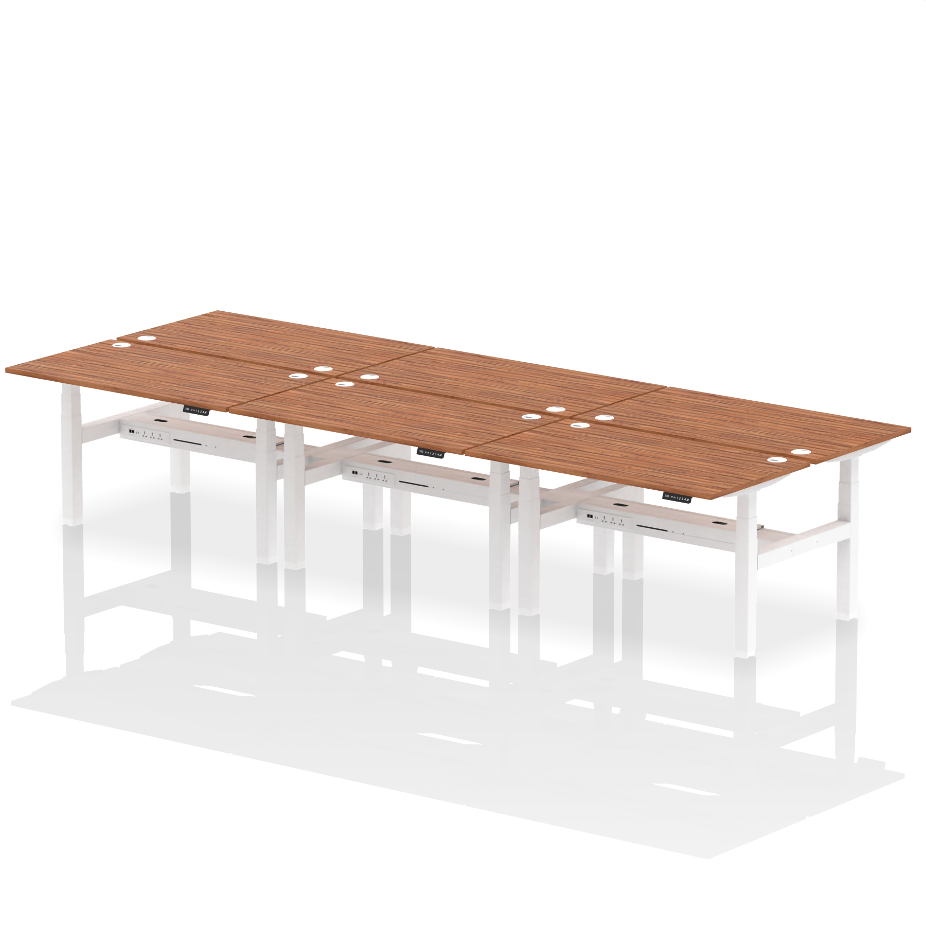 Walnut / White Frame