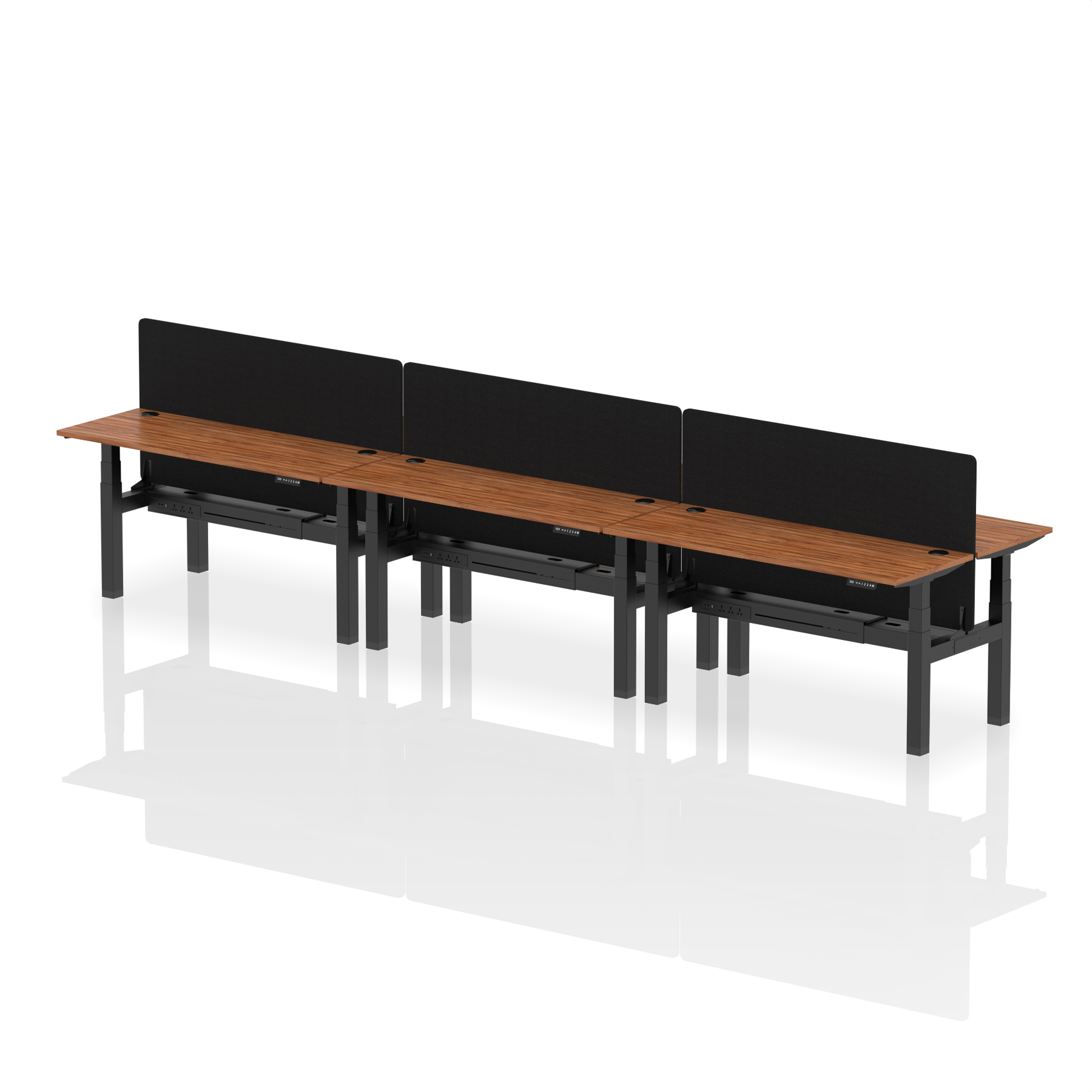 Walnut / Black Frame