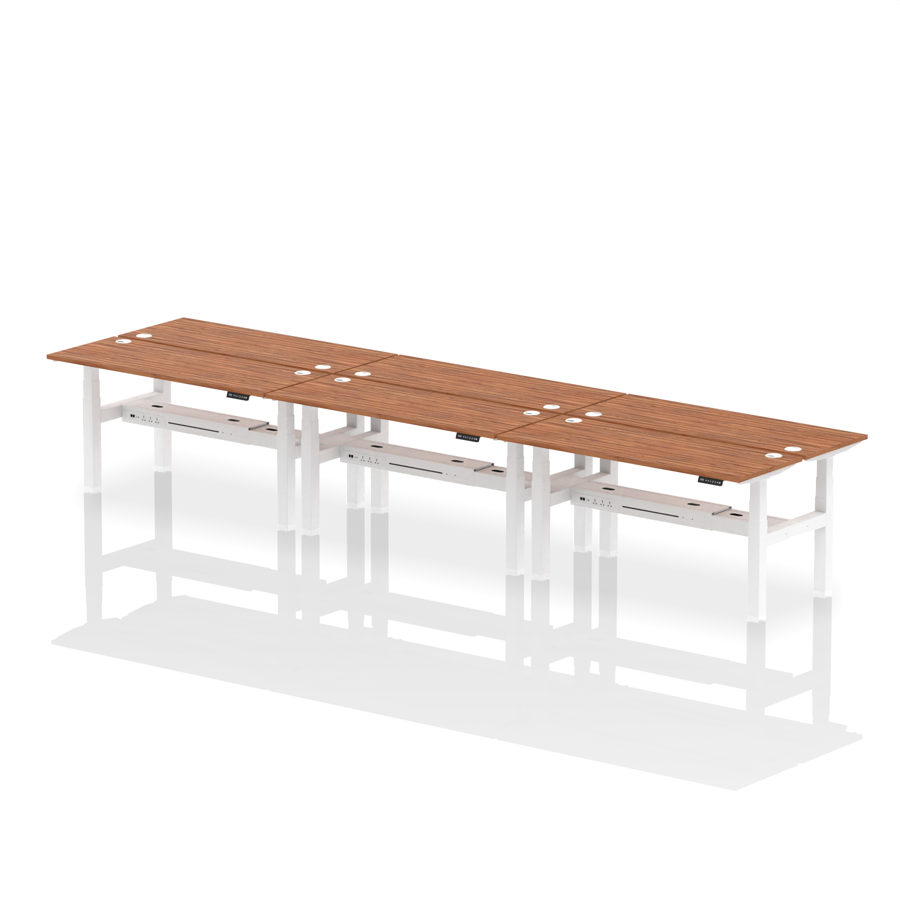 Walnut / White Frame