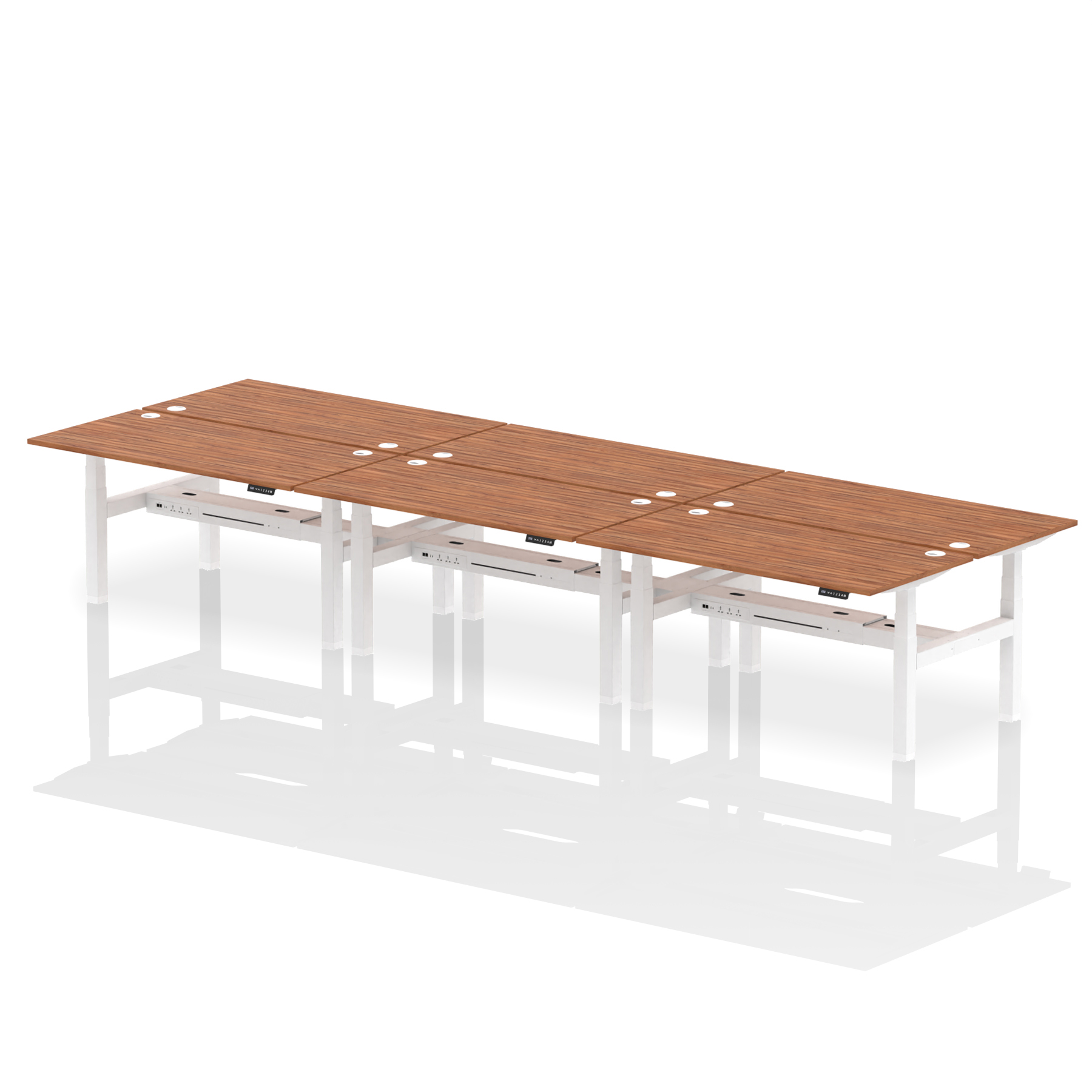 Walnut / White Frame