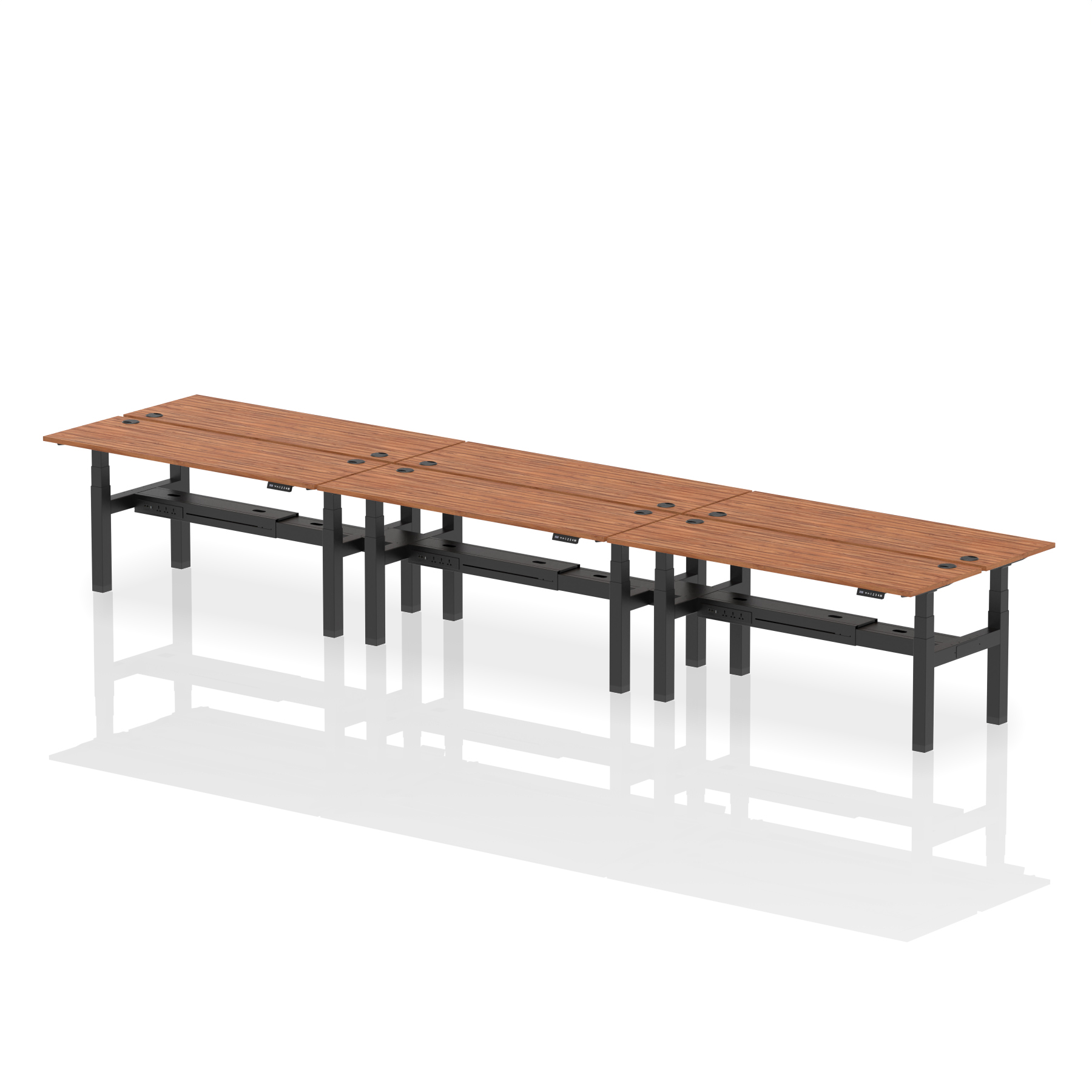 Walnut / Black Frame