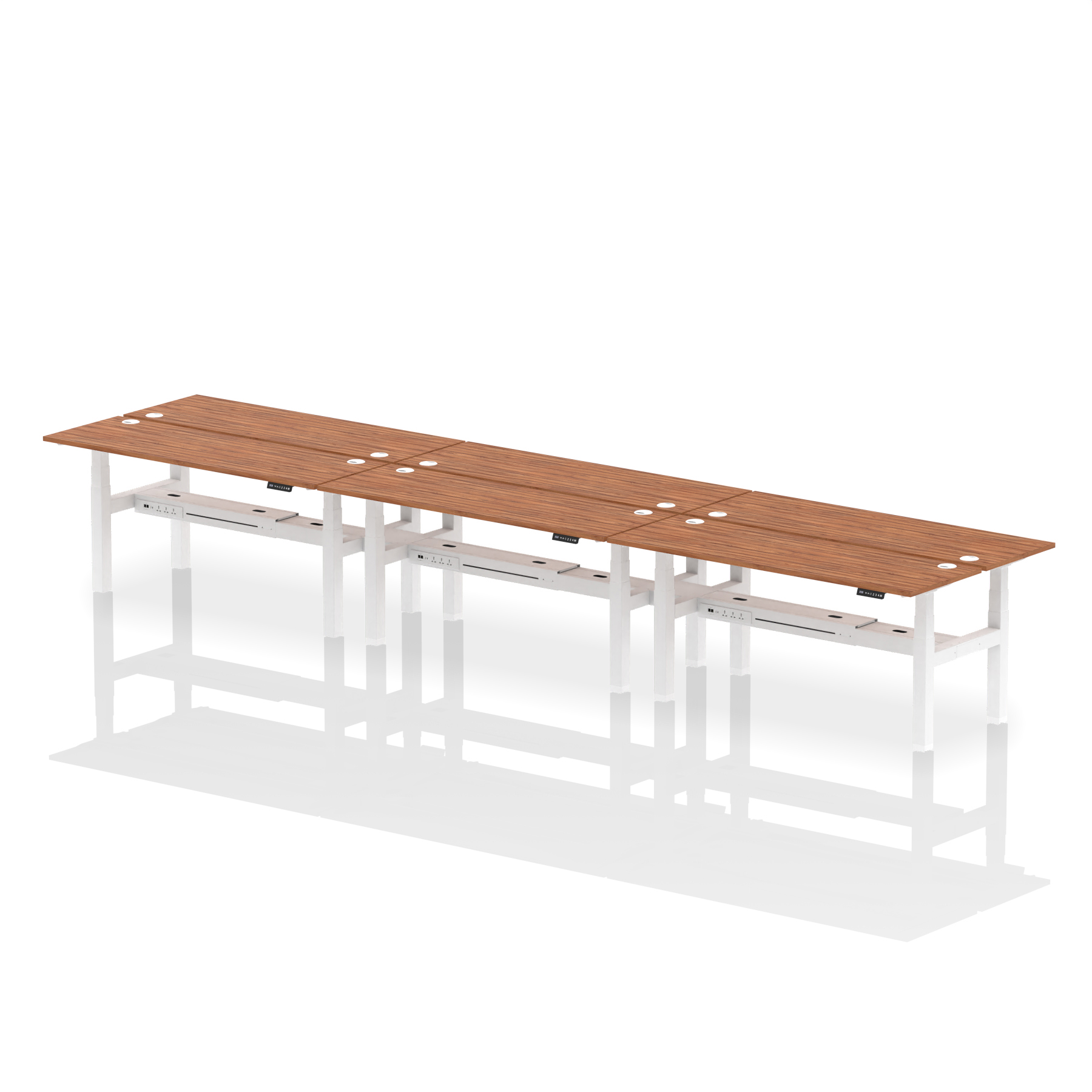 Walnut / White Frame