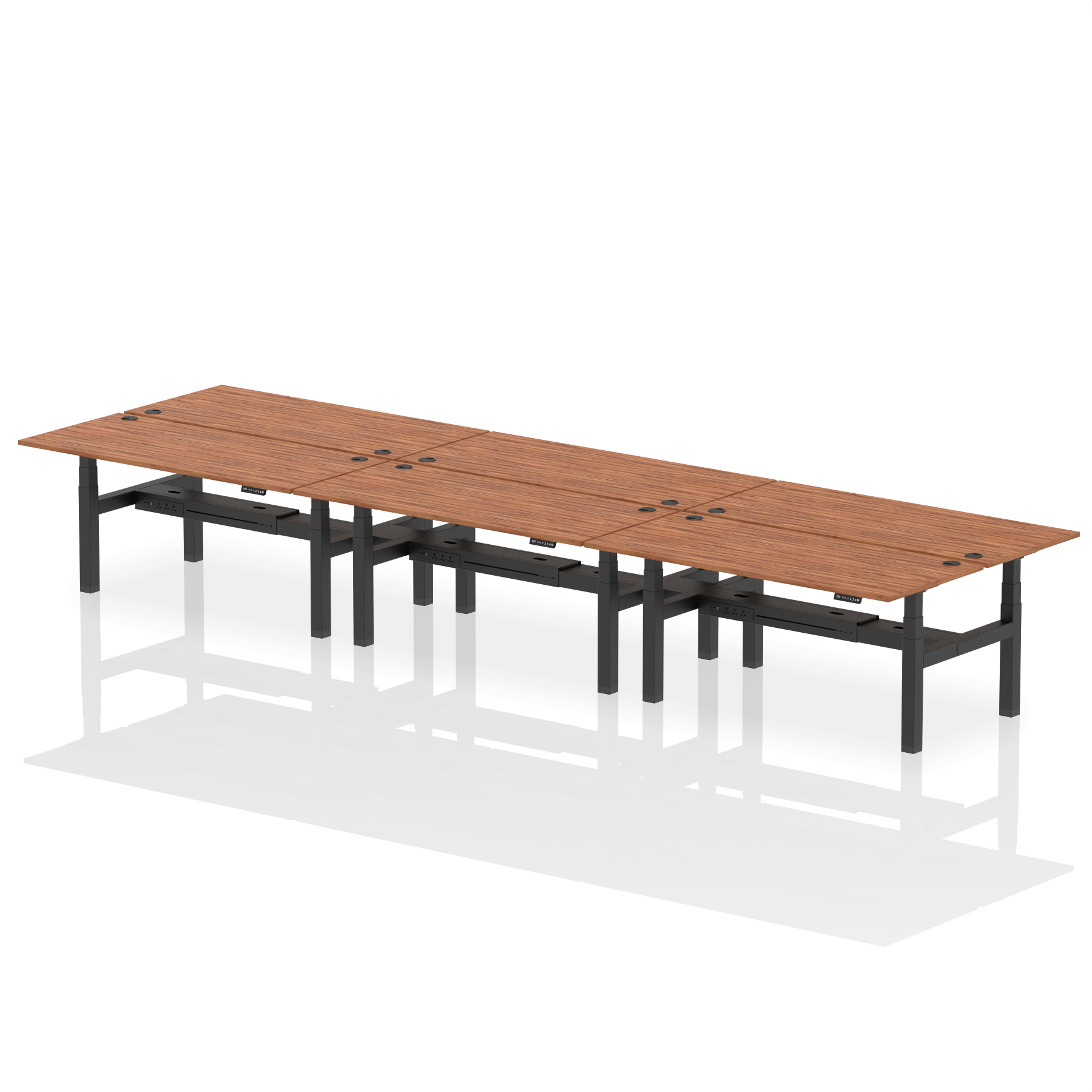 Walnut / Black Frame