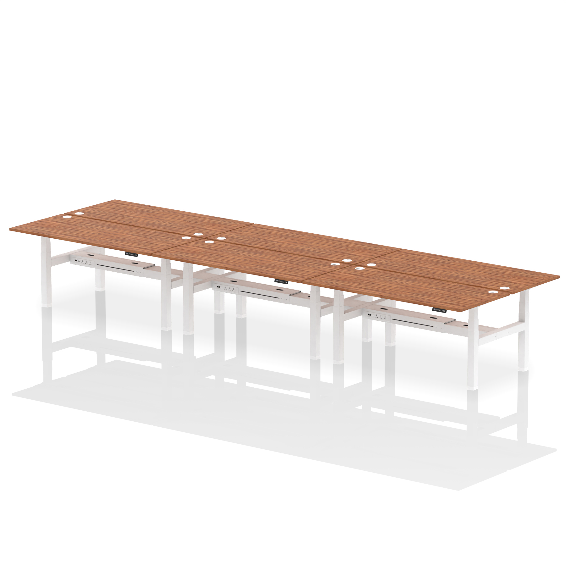 Walnut / White Frame