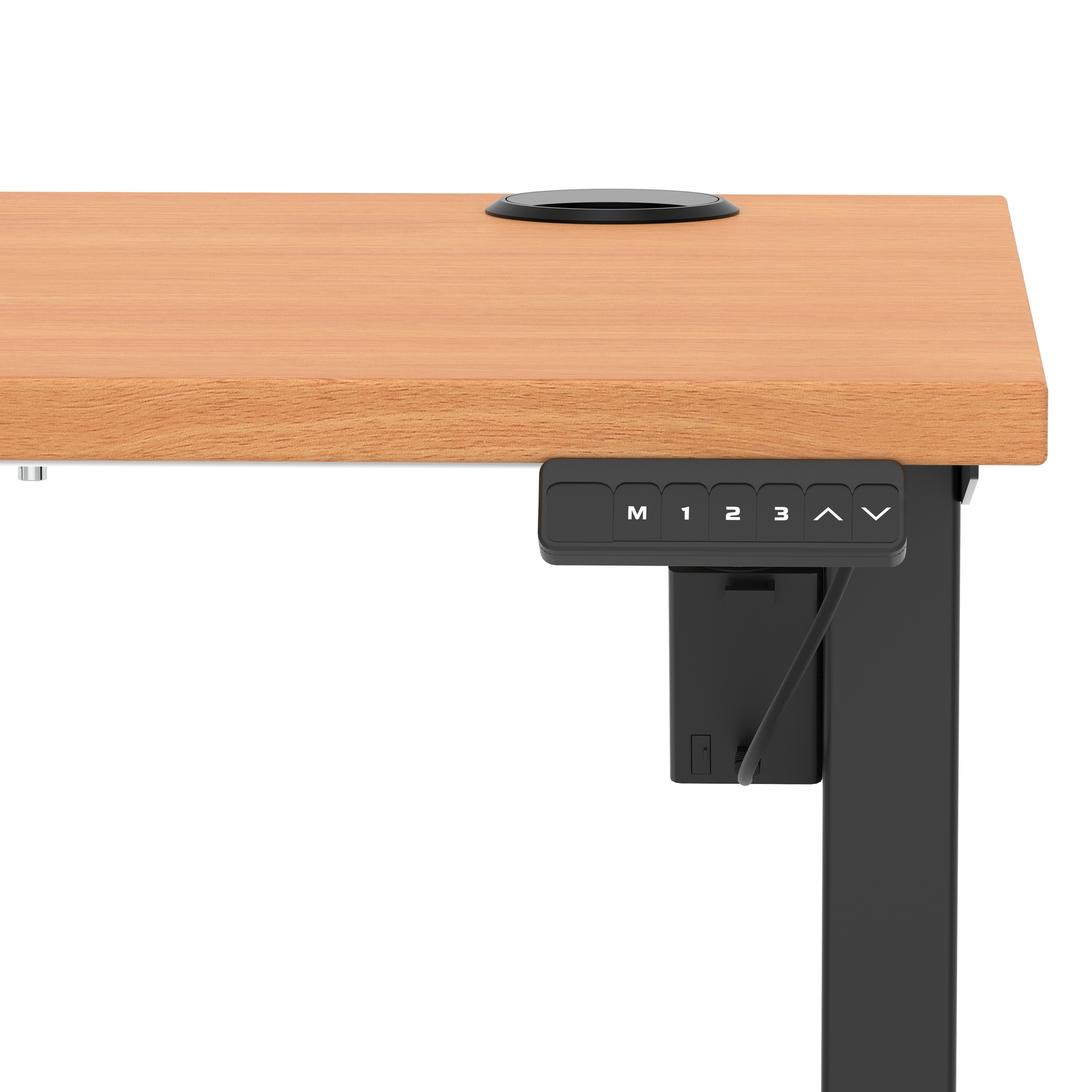 Beech / Black Frame (4)