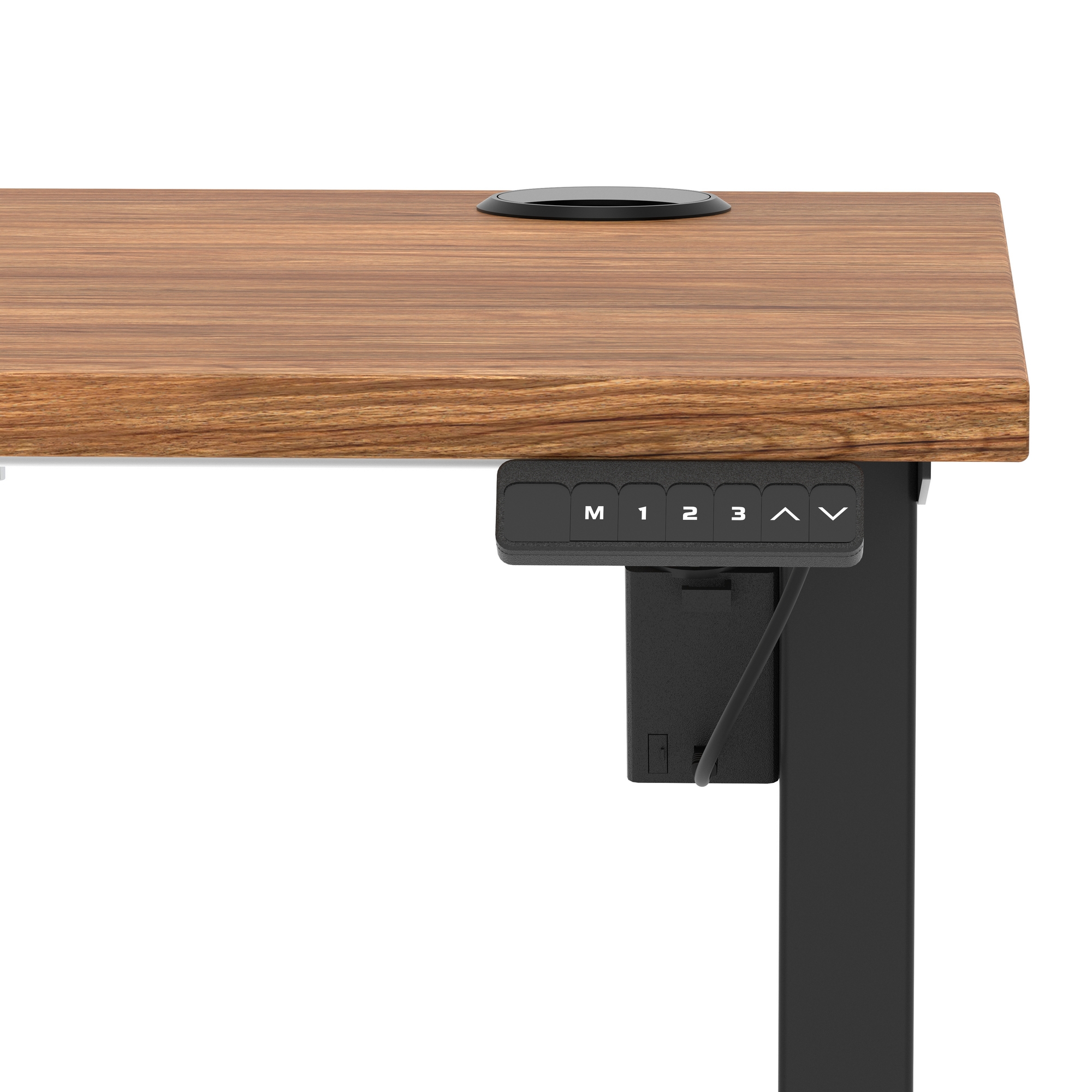 Walnut / Black Frame