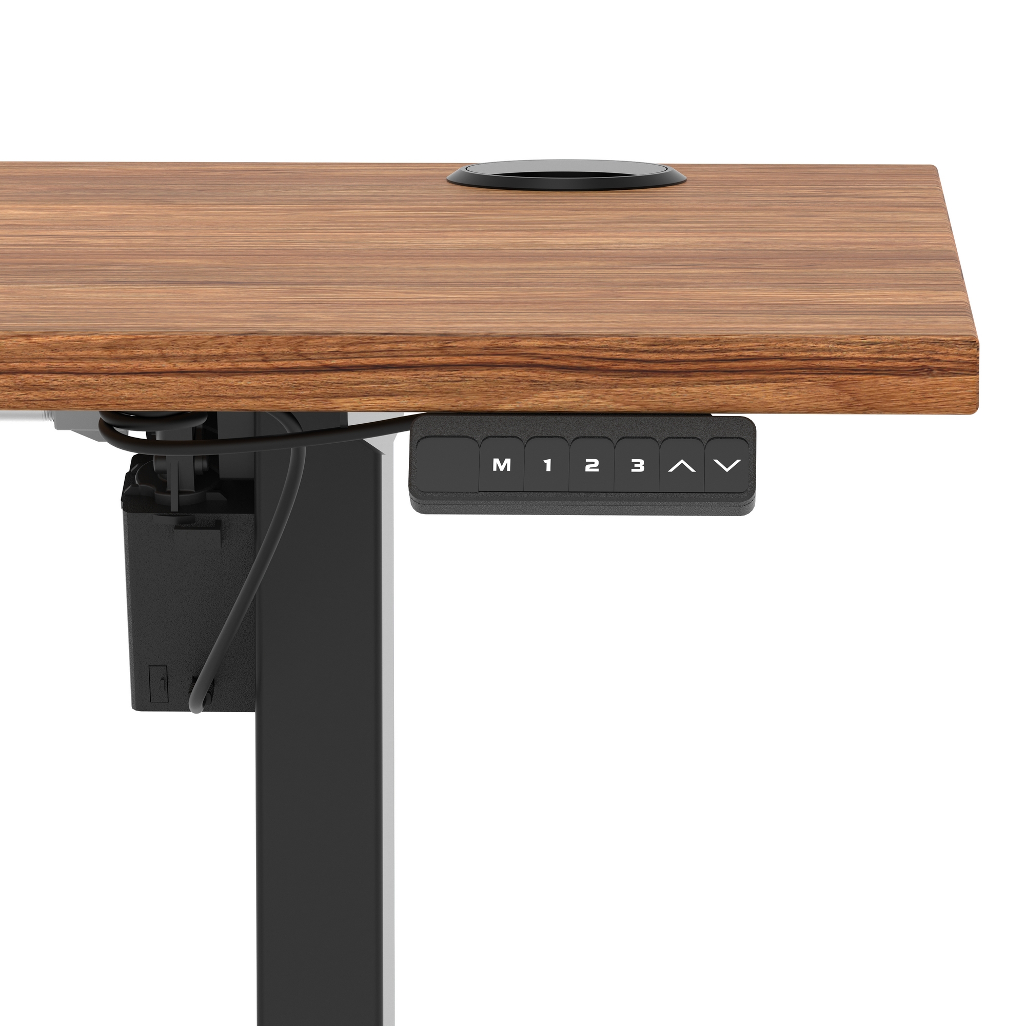 Walnut / Black Frame