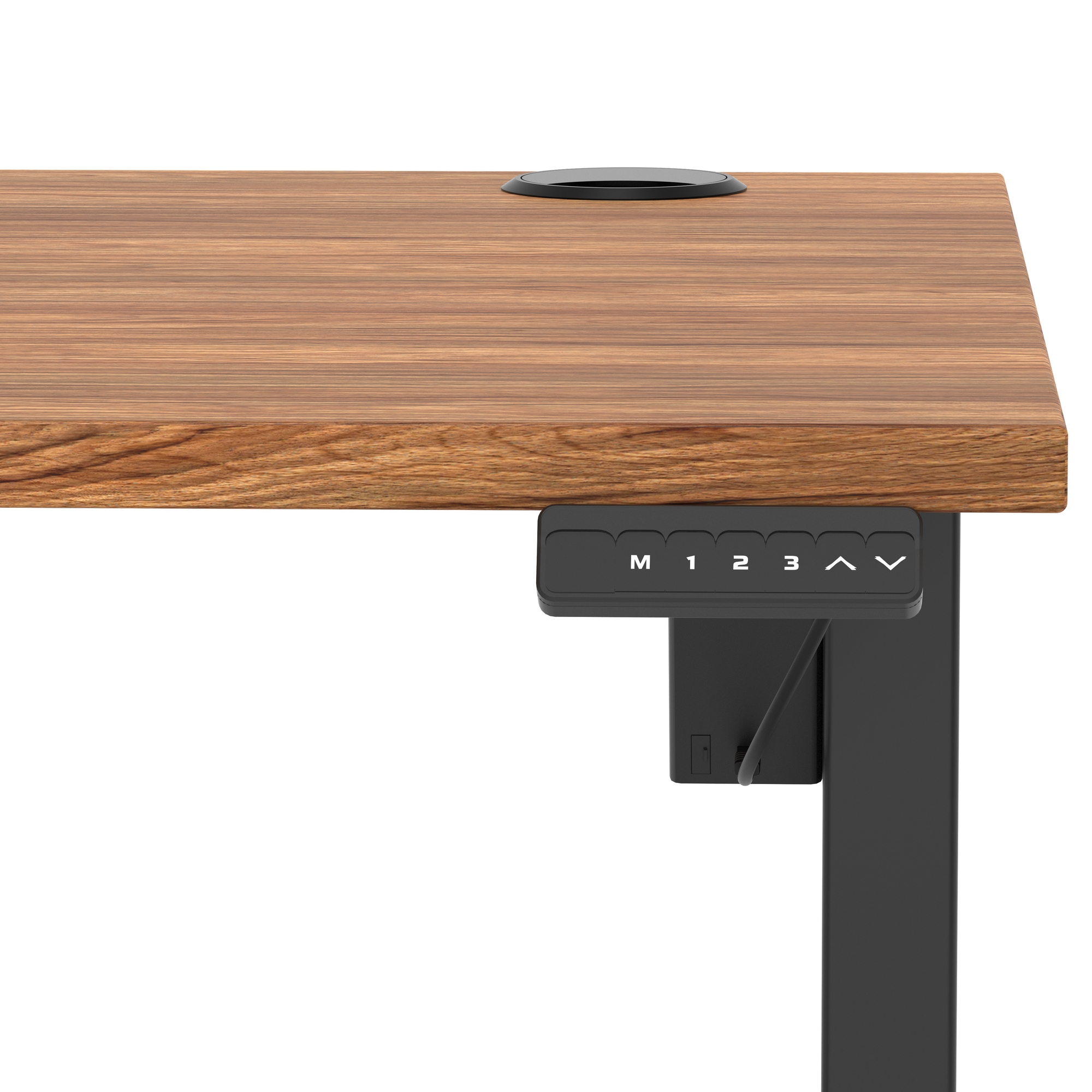 Walnut / Black Frame
