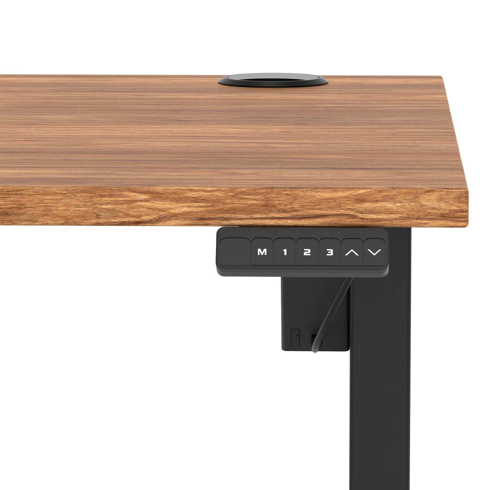 Walnut / Black Frame