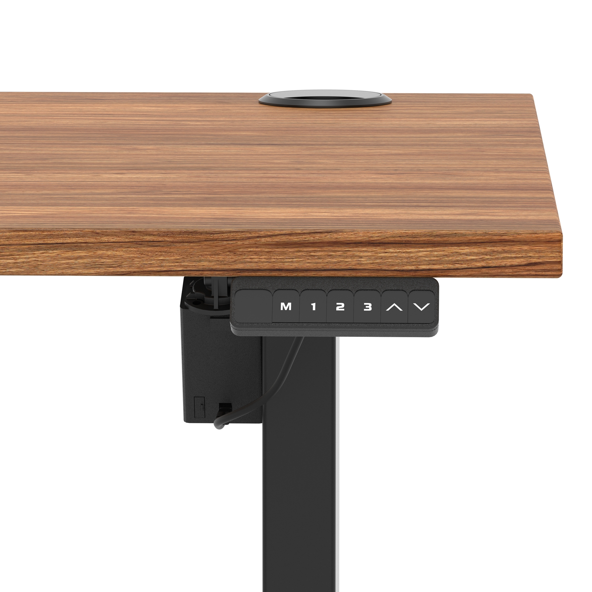 Walnut / Black Frame