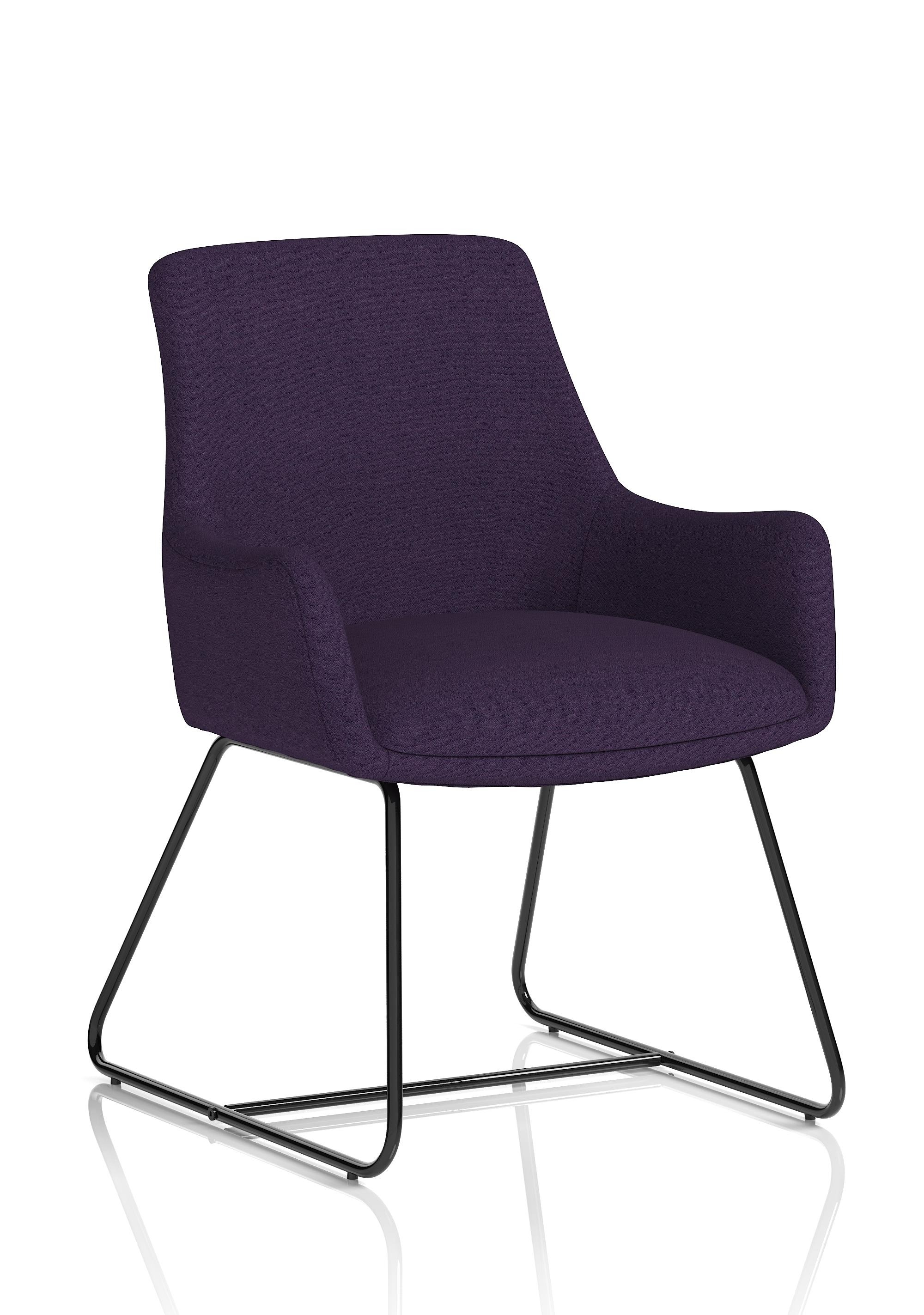 Tansy Purple