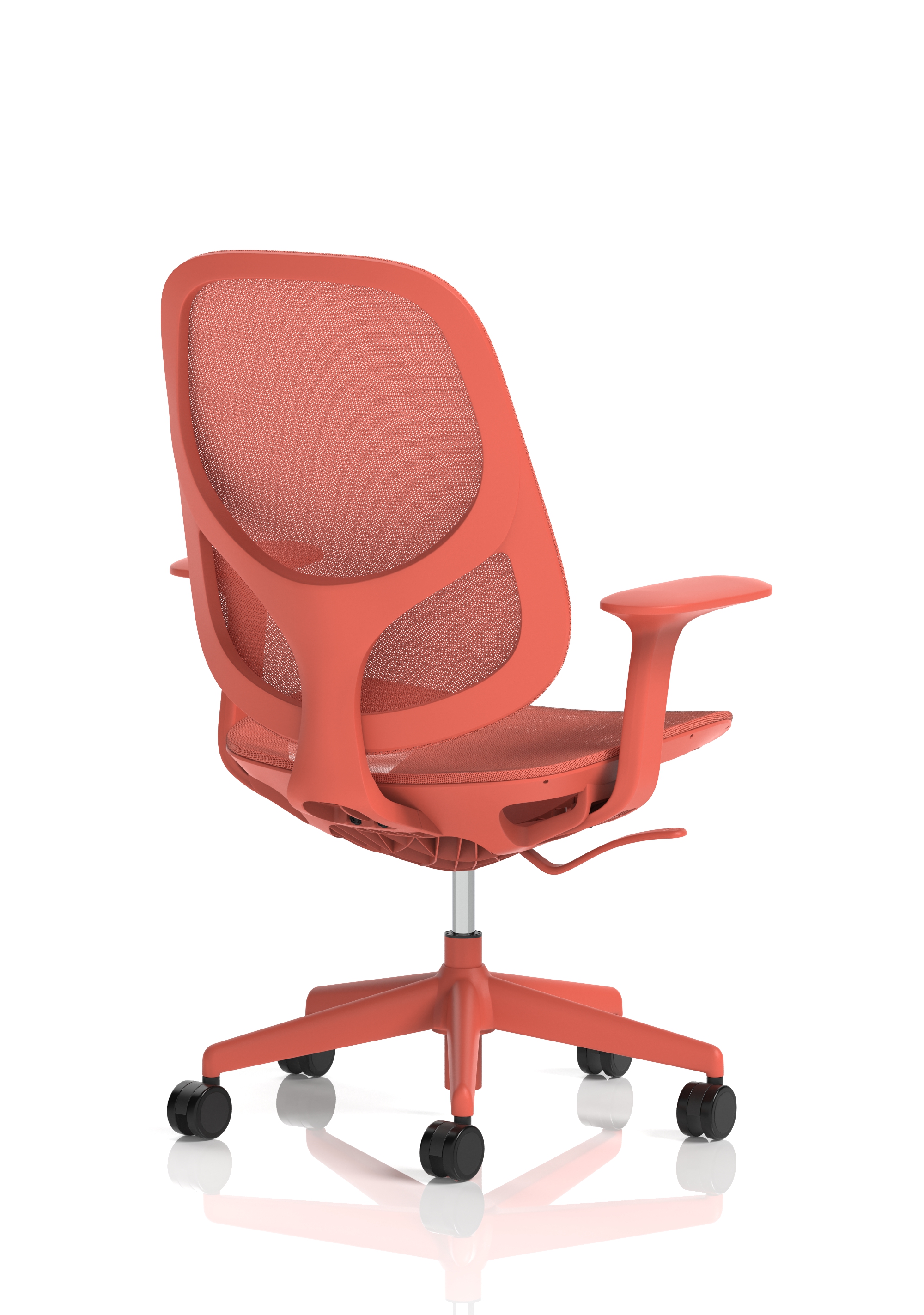Corallo