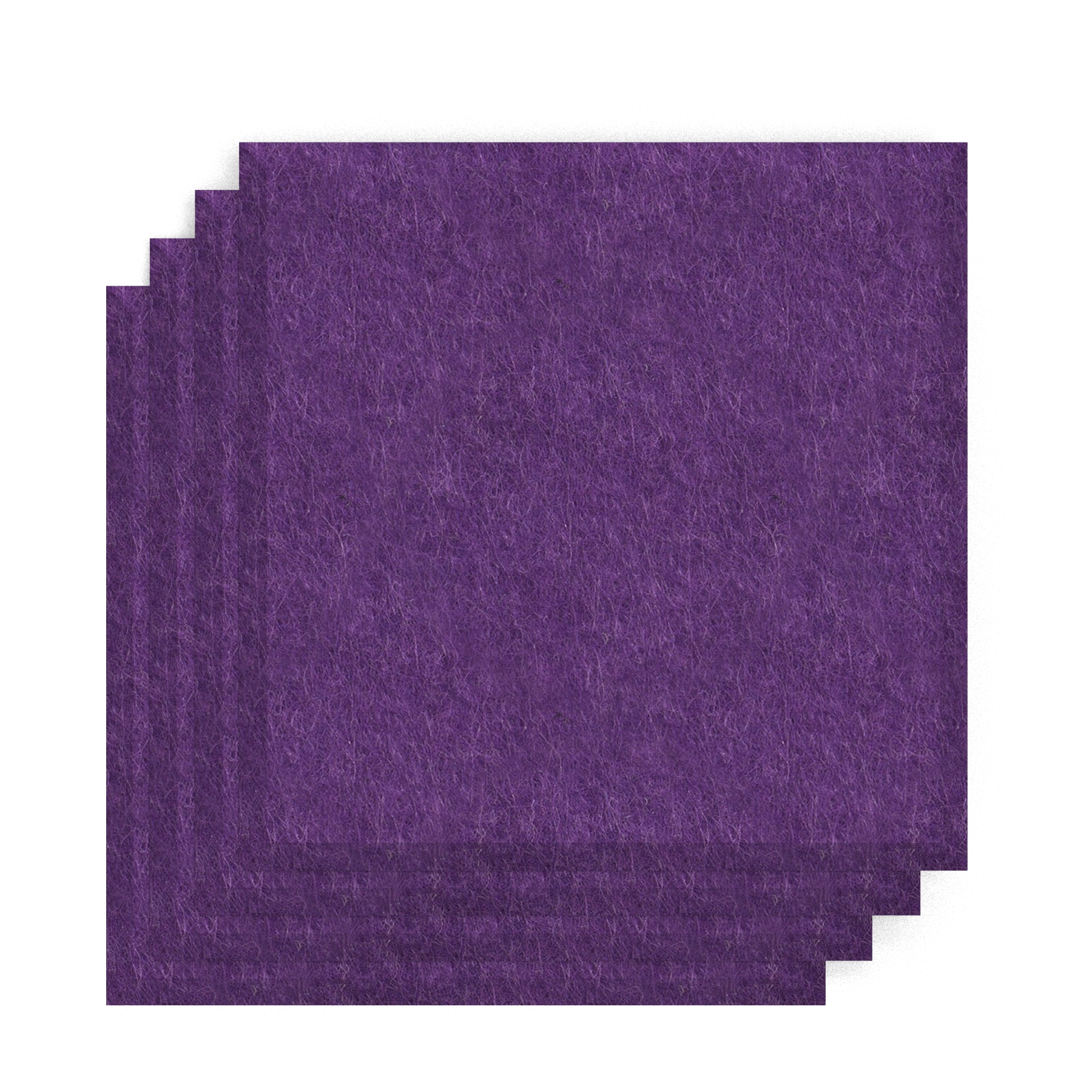 Plum Purple