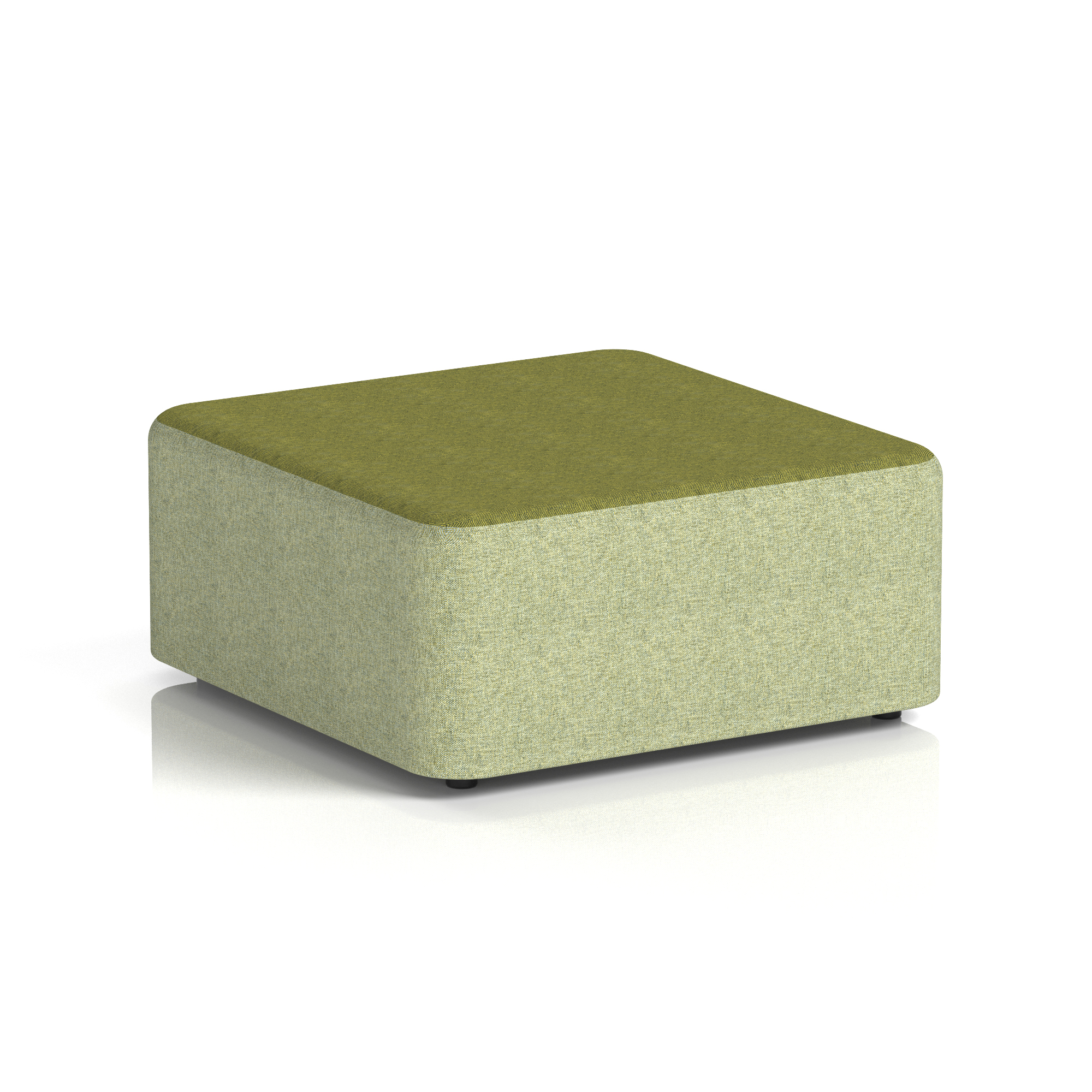 Burnish & Olive